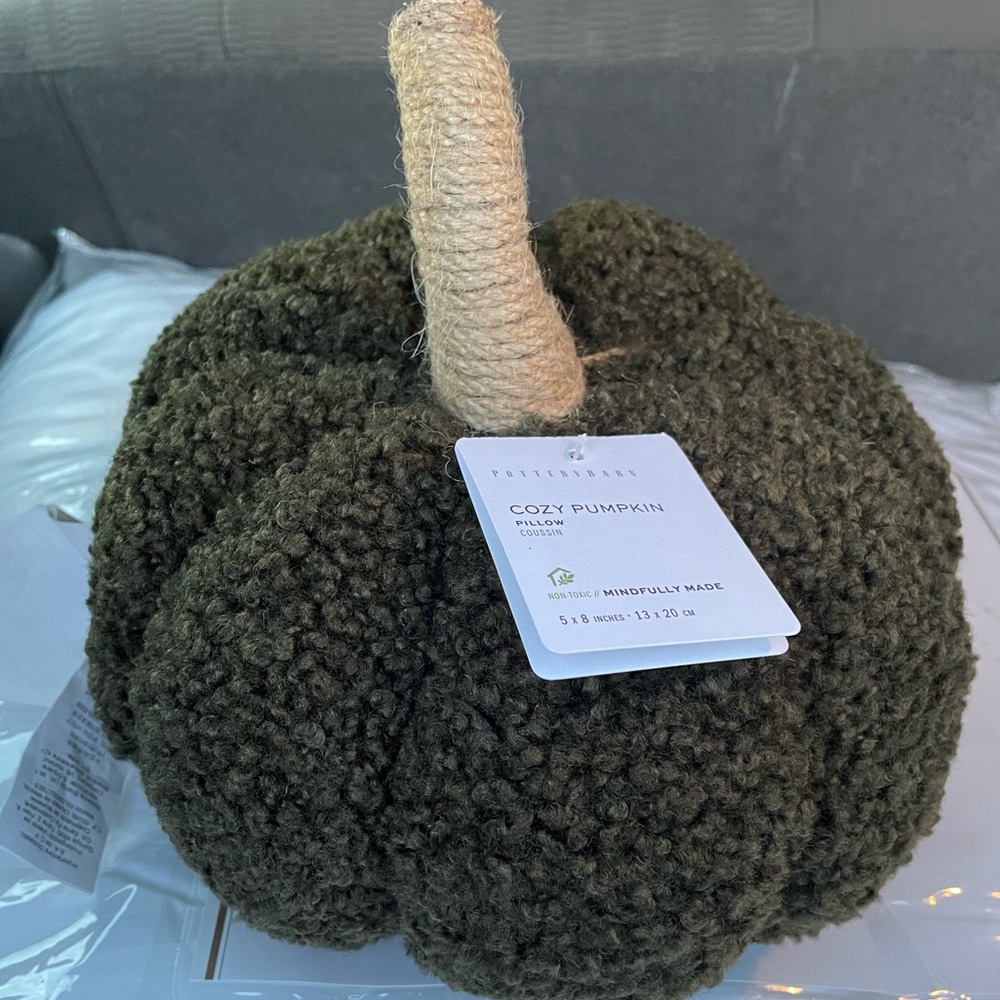 Pottery barn Cozy Pumpkin Pillows